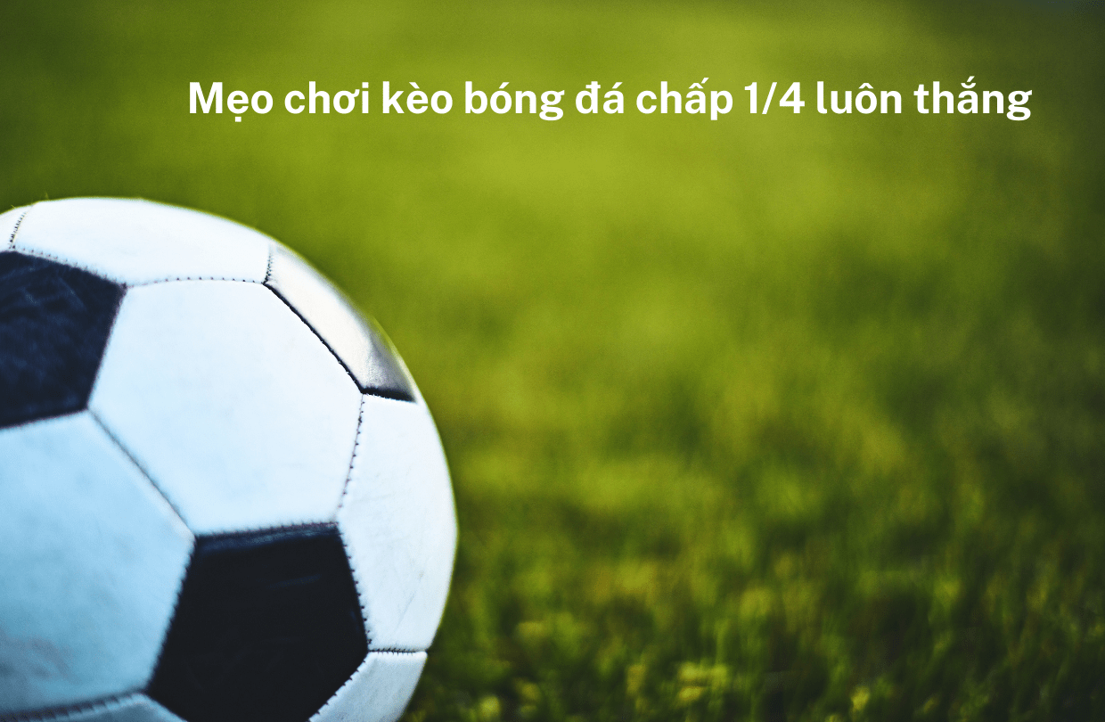 Mẹo chơi kèo bóng đá chấp 1/4 luôn thắng